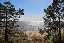 �́����� (�́�������). ����� � �������� �����. 20&nbsp;������� 2022&nbsp;�.